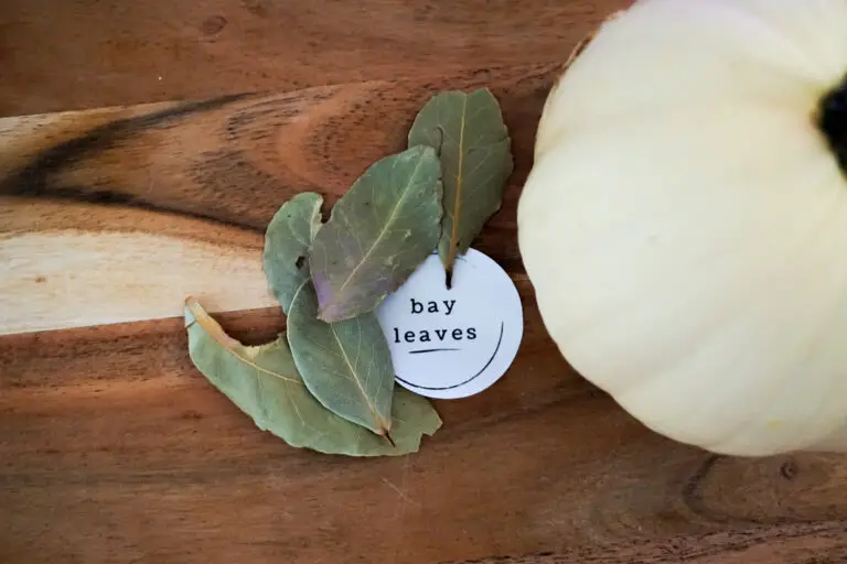 Free Spice Jar Labels that are Fully Customize-able: Download and Make Now!