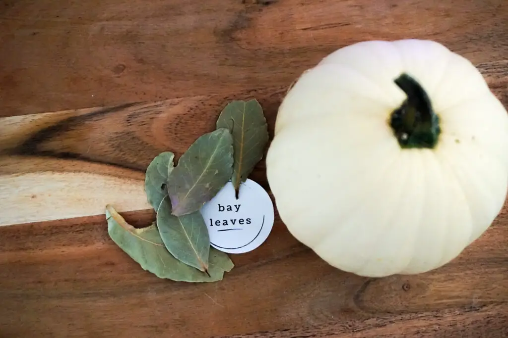 picture of "bay leaves" label and bay leaves sitting on the side. Pumpkin for display purposes to the right.
