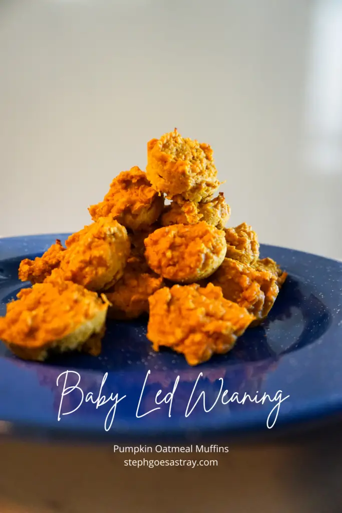 Pin for Pinterest. white writing on picture with title "Baby Led Weaning - Pumpkin Oatmeal Muffins -  Stephgoesastray.com" Mini Pumpkins Oatmeal Muffins that are orange in color.  Sitting on a blue speckled enamel camping plate.  White background.