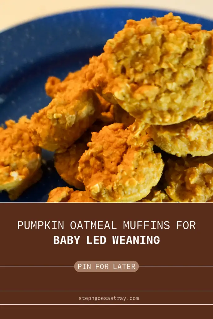 Pin for Pinterest. orange circle banner with title "PUmpkin oatmeal muffins for baby led weaning - pin for later - Stephgoesastray.com" Mini Pumpkins Oatmeal Muffins that are orange in color.  Sitting on a blue speckled enamel camping plate.  White background.