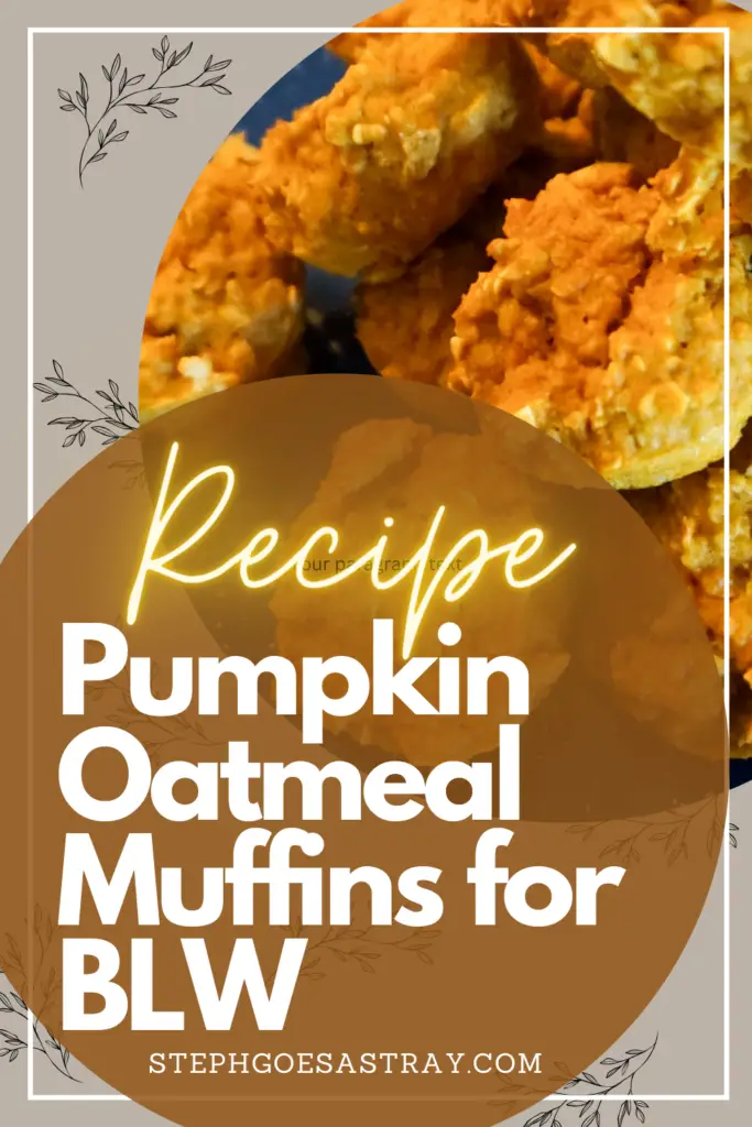 Pin for Pinterest. orange circle banner with title "Recipe - Pumpkin Oatmeal Muffins for BLW Stephgoesastray.com" Mini Pumpkins Oatmeal Muffins that are orange in color.  Sitting on a blue speckled enamel camping plate.  White background.