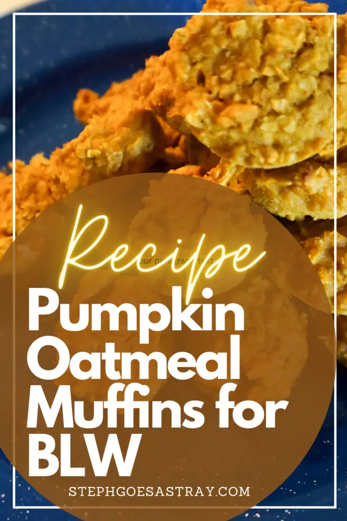 Pin for Pinterest. orange circle banner with title "Recipe - Pumpkin Oatmeal Muffins for BLW Stephgoesastray.com" Mini Pumpkins Oatmeal Muffins that are orange in color.  Sitting on a blue speckled enamel camping plate.  White background.