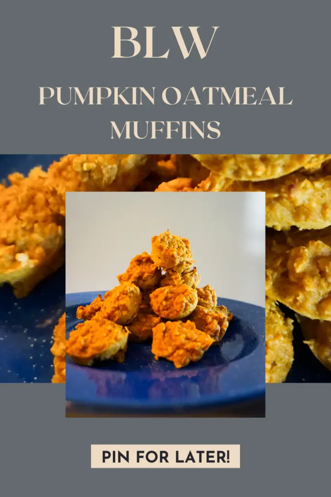 Pin for Pinterest. Blue Banner with title "BLW - Pumpkin oatmeal Muffin Recipe - Pin for Later"Mini Pumpkins Oatmeal Muffins that are orange in color.  Sitting on a blue speckled enamel camping plate.  White background.