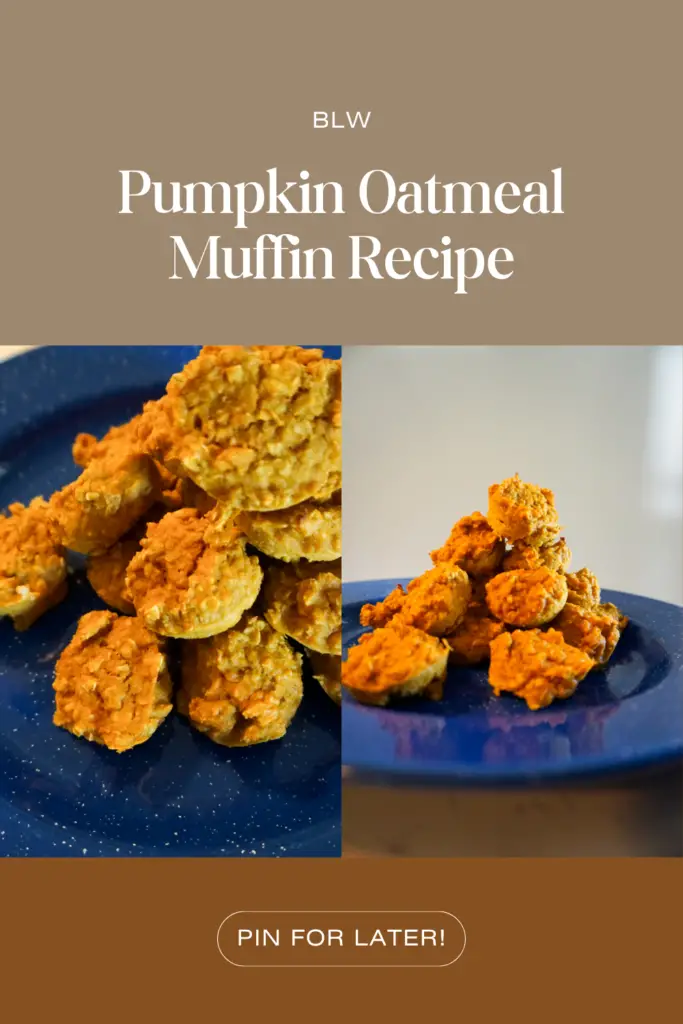 Pin for Pinterest. Brown banner with title "BLW - Pumpkin oatmeal Muffin Recipe - Pin for Later"Mini Pumpkins Oatmeal Muffins that are orange in color.  Sitting on a blue speckled enamel camping plate.  White background.