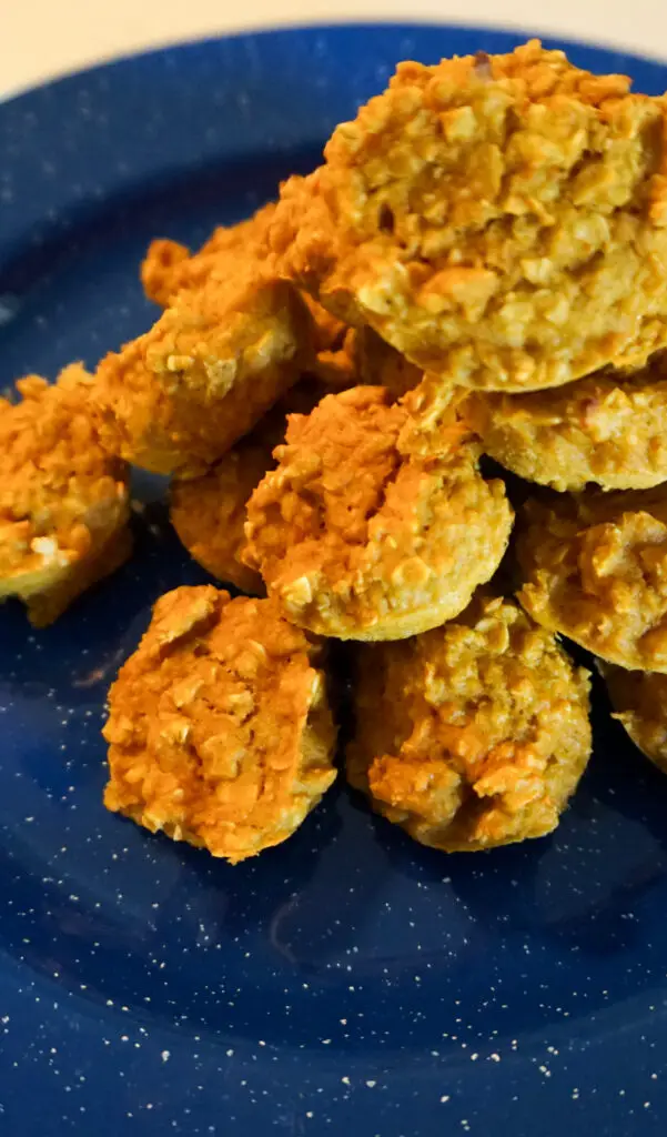 Mini Pumpkins Oatmeal Muffins that are orange in color.  Sitting on a blue speckled enamel camping plate.  White background.