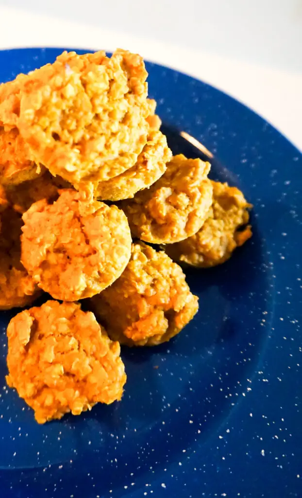 Mini Pumpkins Oatmeal Muffins that are orange in color.  Sitting on a blue speckled enamel camping plate.  White background.
