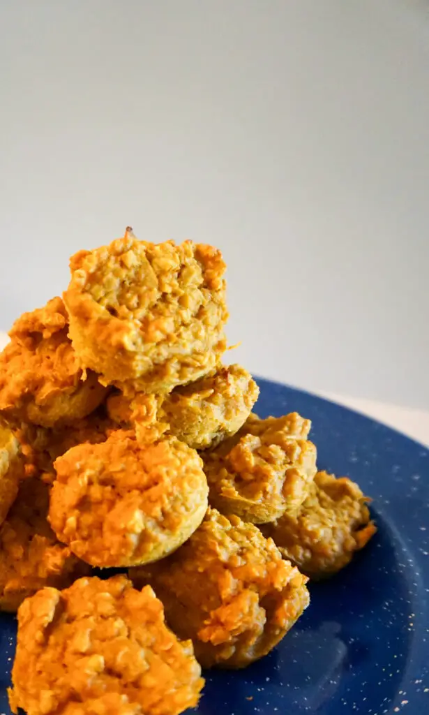 Mini Pumpkins Oatmeal Muffins that are orange in color.  Sitting on a blue speckled enamel camping plate.  White background.