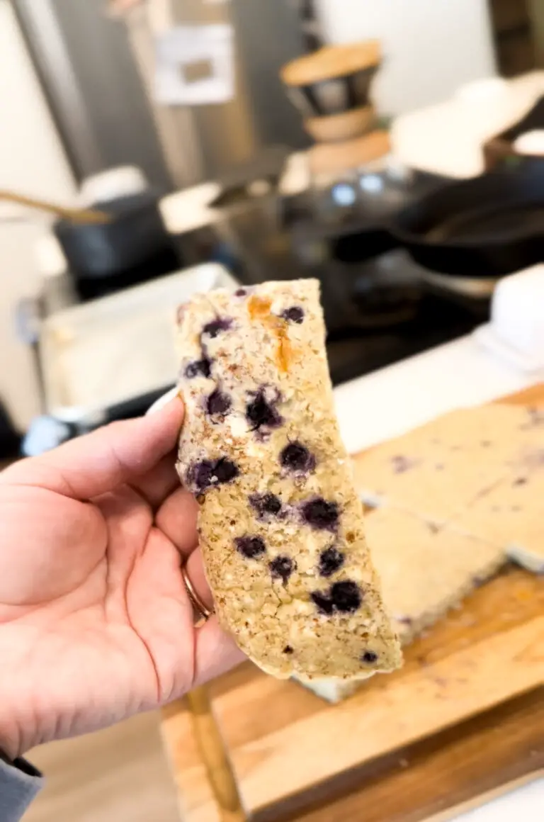Baby Led Weaning Meal Prep Recipes: Blueberry Oatmeal Pancakes
